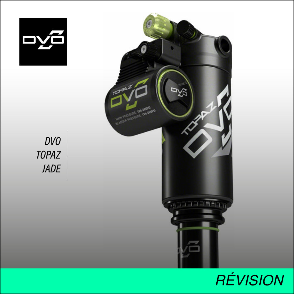 ENTRETIEN AMORTISSEUR DVO