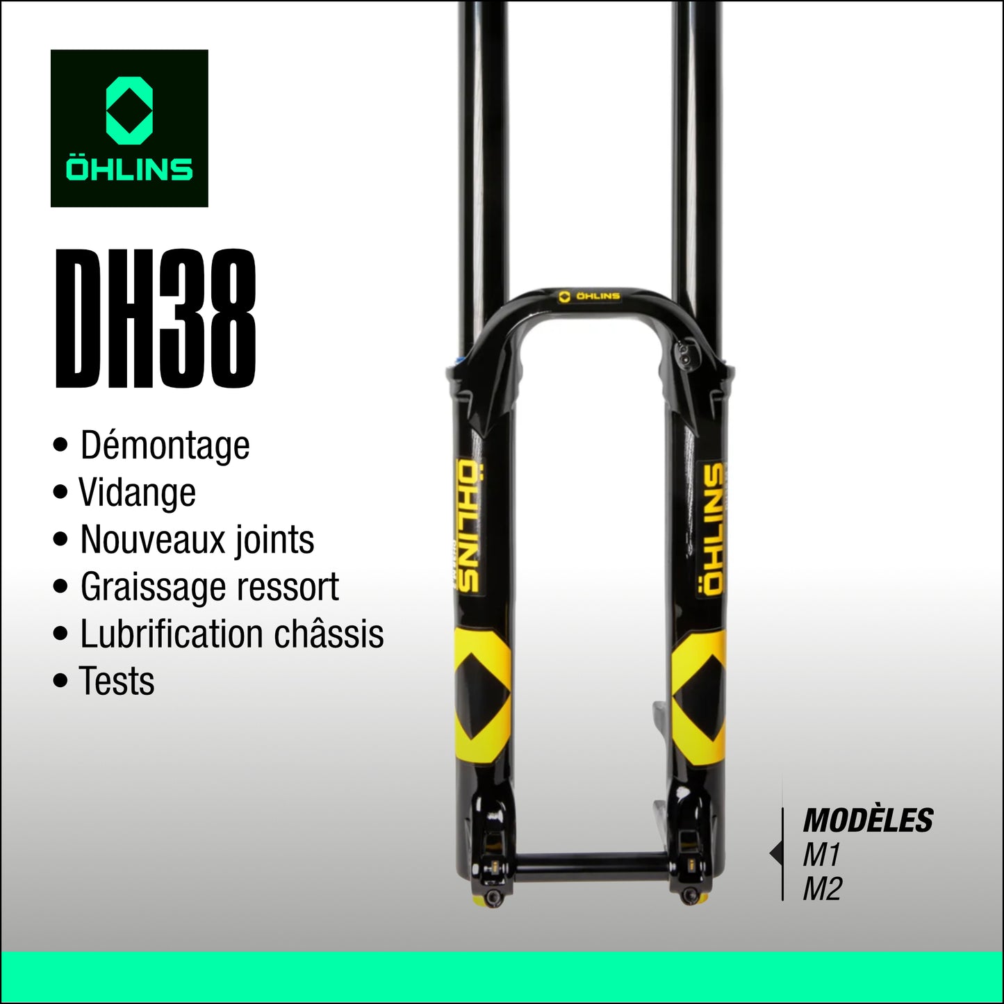 entretien fourche Ohlins DH38