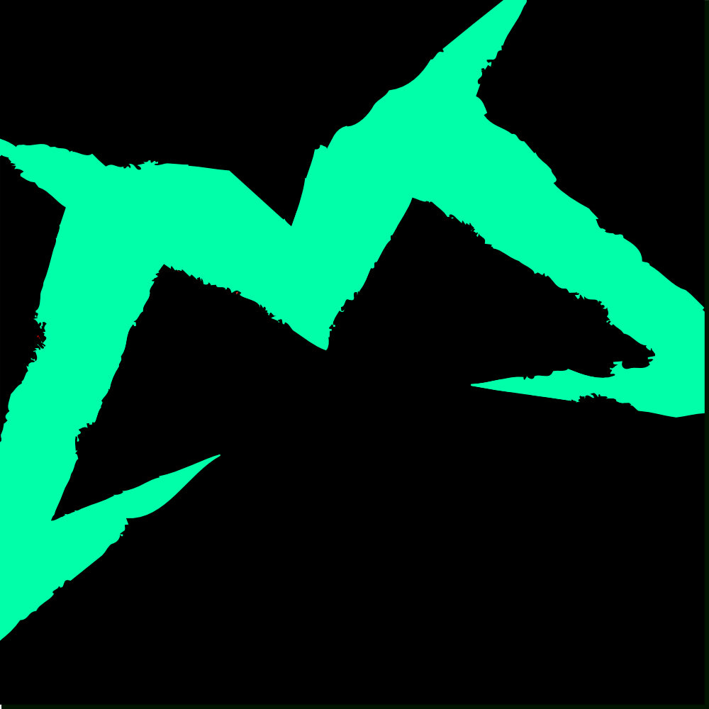 Entretien fourches et amortisseurs Marzocchi