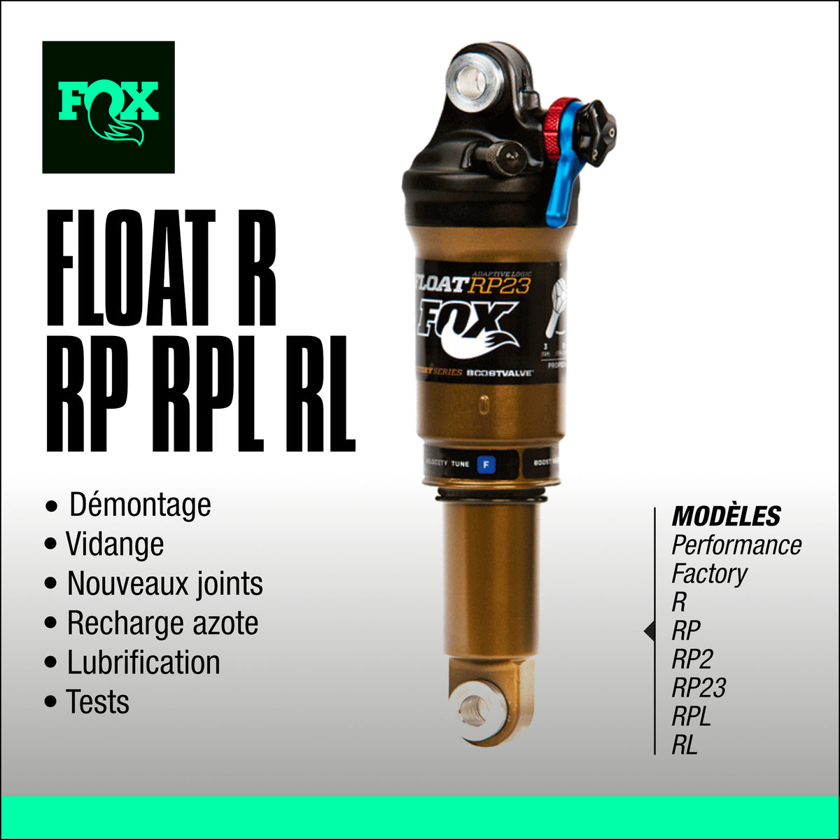 Fox Float Rpl Cap Entretien amortisseur Fox Float R RP RPL RL – Anti-usure – Workshox