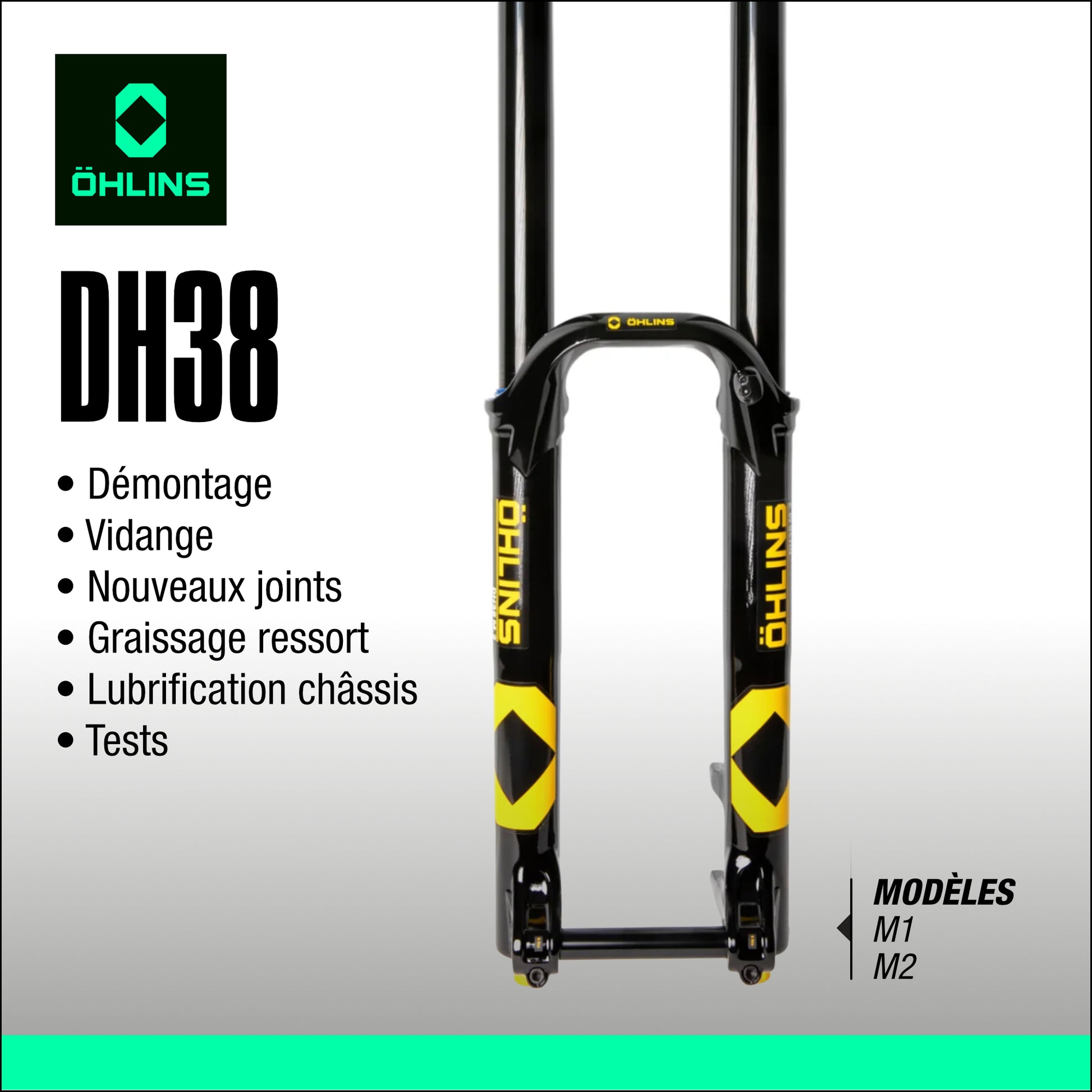 entretien fourche Ohlins DH38