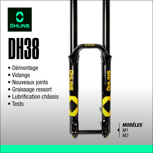 entretien fourche Ohlins DH38