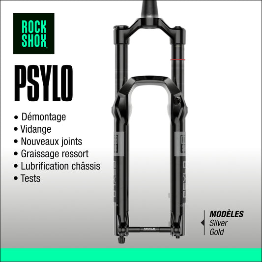 entretien fourche rockshox psylo