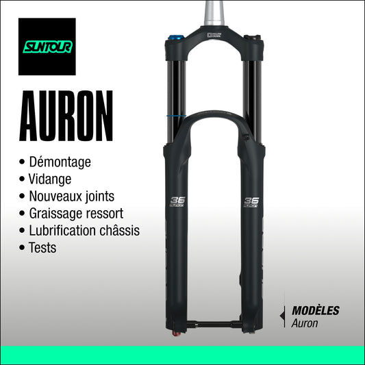 entretien fourche sr suntour Auron